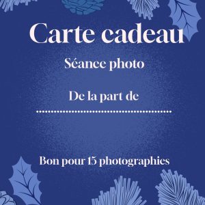 15 photographies - Noël