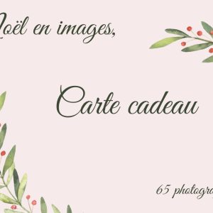 65 photographies - Noël